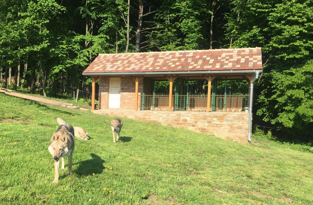 Chata Koniaren Villa Pavlovce Exterior foto