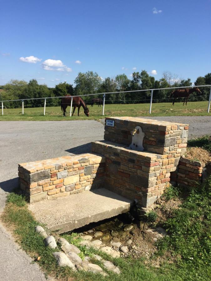 Chata Koniaren Villa Pavlovce Exterior foto